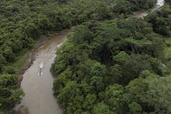 En septiembre de 2022, las autoridades panameñas informaron que un niño migrante venezolano de 6 años murió cuando el grupo con el que viajaba fue asaltado.