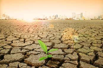 Ciencia e innovación en la agricultura para convivir con El Niño