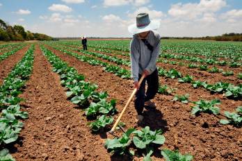 La OIT subraya que los impactos laborales de El Niño no están predeterminados, sino que dependen de la fortaleza institucional y la cobertura de protección social.