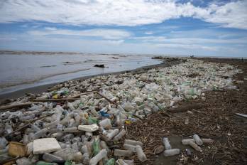 Basura, incluidos desechos plásticos, se ve en Playa Paparo en el estado Miranda, Venezuela, el 6 de junio de 2023.