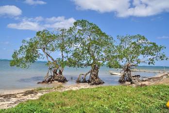 Imagen ilustrativa de las costas pacificas de Honduras.
