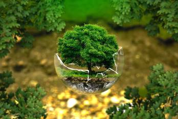 Imagen ilustrativa.