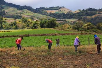Reminiscencias de tiempos borrascosos en el sector agropecuario