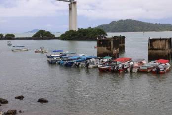 La Ley de Pesca de 2021 se reglamentó en 2024, y ahora le corresponde a la ARAP emitir toda la normativa complementaria para su puesta en marcha.