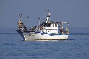 Panamá sigue reforzando su lucha contra la pesca ilegal, que afecta a sus recursos marinos.
