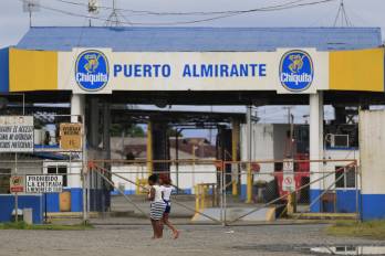 La transnacional Chiquita retomará, bajo un nuevo modelo operativo y a más tardar en febrero de 2026, su producción bananera en Panamá.