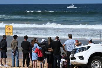 Los agentes cerraron la playa e investigan qué tipo de tiburón es responsable del ataque.