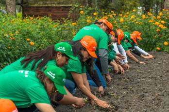 Fotografía del 18 de octubre de 2025 cedida por Iberdrola México que muestra a personas participando en una actividad durante la Semana Internacional del Voluntariado 2025 en Xochimilco (México).