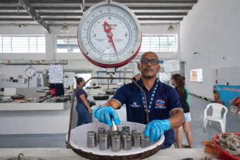 La entidad indicó que, durante la temporada de Cuaresma, estas inspecciones se intensifican en mercados y puestos de venta de productos del mar.