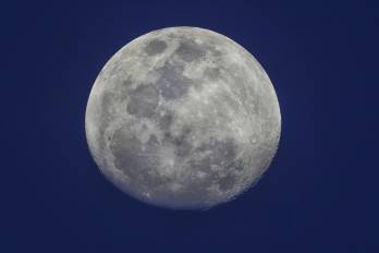 Resilience fue lanzada en enero de este año con un cohete Falcon 9 de SpaceX y entró en órbita lunar a comienzos de mayo .