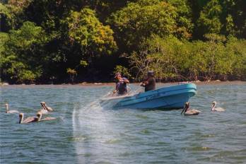 ¿Es el agua un derecho...?