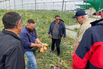 Funcionarios del MIDA y productores de cebolla en una foto de archivo.