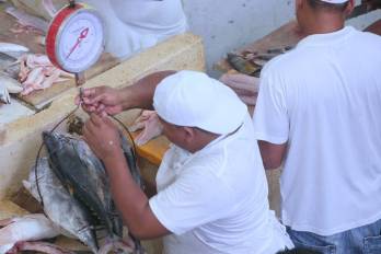 ARAP anuncia reclasificación de naves tras cuestionamientos por falta de VMS