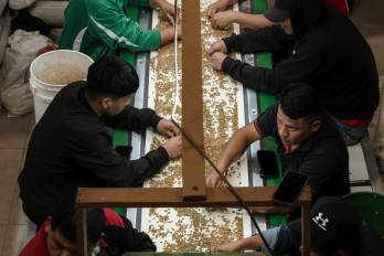 Durante cinco días, los asistentes a la feria en España podrán descubrir el ‘universo del café Geisha’.