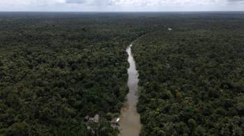 La deforestación en la Amazonía alcanza su nivel más bajo.