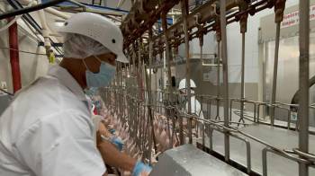 Entre las empresas certificadas se encuentra una dedicada al procesamiento de carnes.