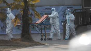 Las muestras se recogieron en enero de 2020, después del cierre del mercado.