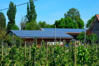 La instalación de paneles solares demandará de personal capacitado en esta área.