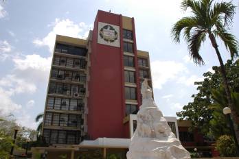 Los principios que orientan el servicio social en la Universidad de Panamá incluyen la solidaridad, el compromiso social, la ética profesional y la participación ciudadana.