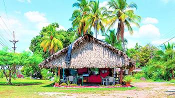 Mi tierra prometida