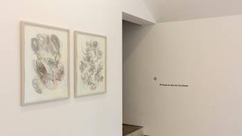 ’El presente está por escribirse’ es una muestra basada en la idea de mostrar la nueva generación de artistas panameños.