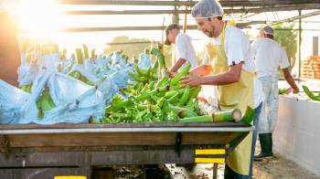 El valor de las exportaciones panameñas, sin cobre, crece más de 9% hasta febrero