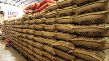 Fotografía que muestra sacos con café almacenado en una bodega este martes en la ciudad de Tapachula, en Chiapas (México). EFE/ Juan Manuel Blanco