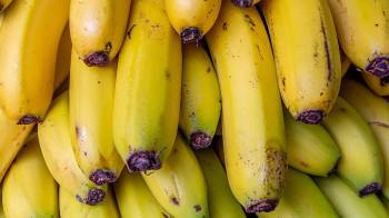 El banano es el rubro número uno de exportación del país.