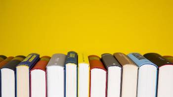 La calidad y la diversidad de los novelistas panameños ha ido aumentando con los años.