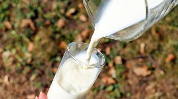 La publicación ‘Mitos en relación con el consumo de Leche’ será publicada durante el 17.º Congreso Panamericano de la Leche.