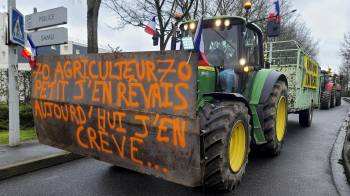 Convoy de agricultores del mercado mayorista de Rungis, al sur de París, en febrero de 2024.