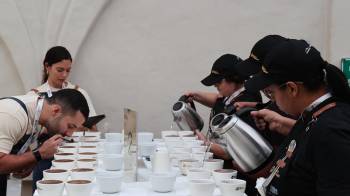 Para la cata nacional de café de especialidad participan 19 jueves.