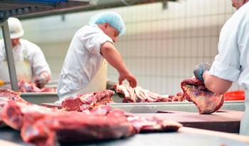 Panamá cuenta con más de 40 años de no exportar carne vacuna al mercado estadounidense.