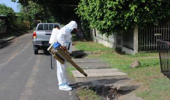 Los casos de dengue sin signo de alarma sumaban 2.856; los casos de la enfermedad con signos de alarma llegaban a 343.