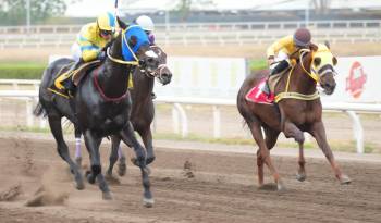 El norteamericano ‘Orb Ruler’ (careta azul), será la carta brava a batir en la prueba clásica.