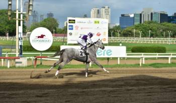 ‘Silver Wood’ se perfila como la potranca a batir en el Clásico Familia Grimaldo.