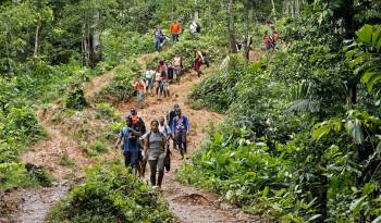 Migrantes suben una montaña con la intención de llegar a Panamá, en el Tapón del Darién (Colombia).