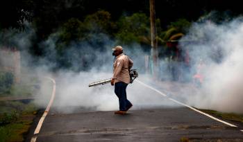 Tres nuevas defunciones por dengue elevan la preocupación en Panamá