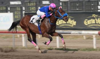 El nativo ‘Niño Bruce’ será la carta brava a batir en el Handicap Coopeduc, segunda carrera.