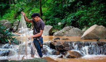 La pesca ilegal es uno de los factores que contribuye a la sobrepesca alrededor del mundo.