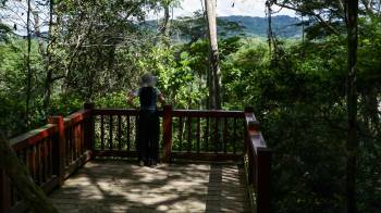 Los parques nacionales forman parte de la estrategia de ecoturismo que impulsa Panamá.