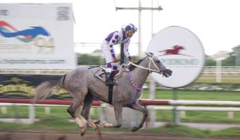 La tordilla ‘Silver Wood’ se presenta con la primera opción del triunfo en el Clásico Jorge Ameglio.