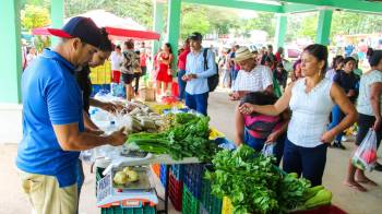 Panameños acuden a Agroferia del IMA en el sector de Panamá Este.