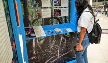La exposición recorrerá distintos puntos del país.