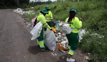 Un total de 4,152 casos de dengue se encuentran en Panamá Metro.
