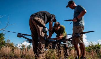 Seis equipos de investigadores compiten para monitorizar la biodiversidad en la Amazonía brasileña.