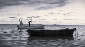 Panamá se mantiene dentro de los países no cooperante en temas de pesca ilegal para la Unión Europea.