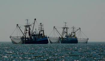 Según el estudio, la pesca es la industria oceánica con mayor actividad no pública.