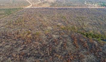 La deforestación en el norte argentino totalizó 126.149 hectáreas en 2023. Fotografía de archivo.