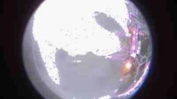 Fotografía divulgada este lunes por Intuitive Machines donde se muestra la superficie lunar tomada durante el descenso vertical del módulo Odiseo.